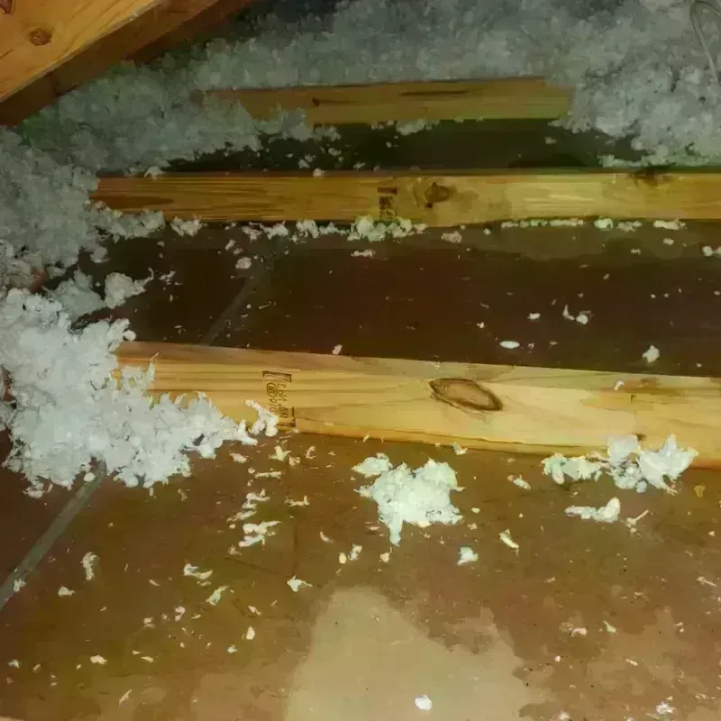 Attic Water Damage in Windham, OH