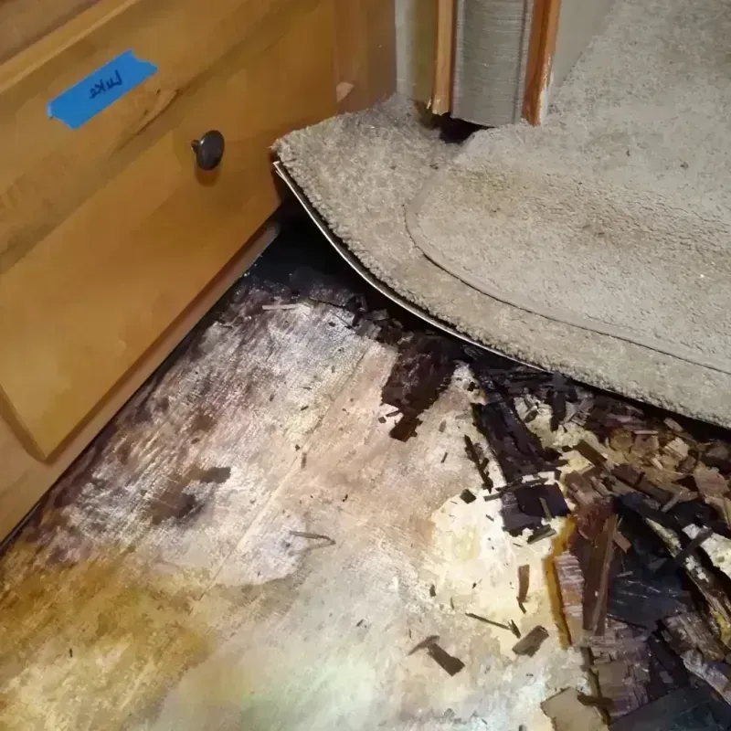 Wood Floor Water Damage in Windham, OH